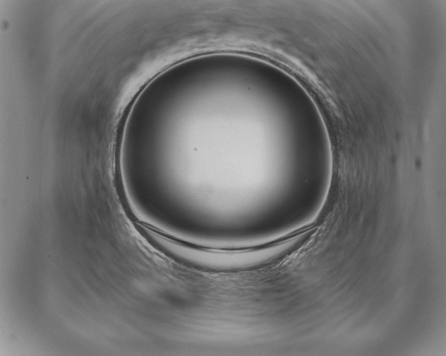 X0000087381512200704271544