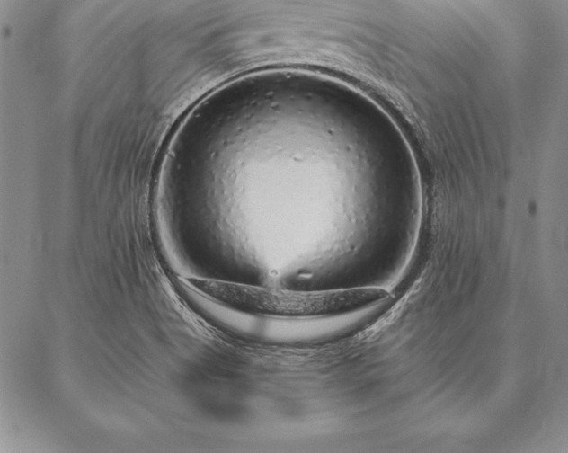 X0000087381513200704271544