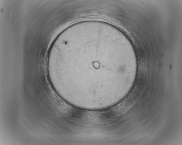 X0000087381514200704271544