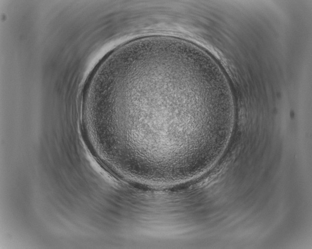 X0000087381515200704271544