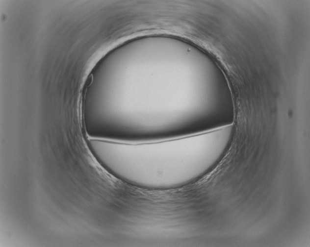 X0000087381516200704271544