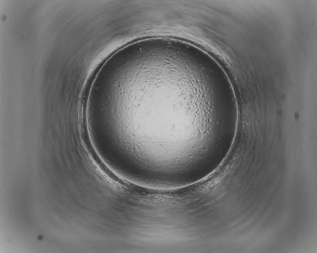 X0000087381517200704271544