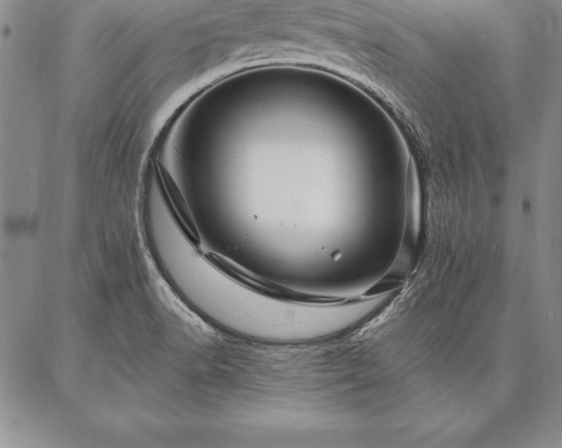 X0000087381518200704271544