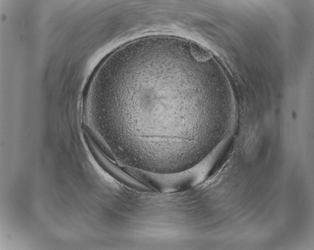 X0000087381519200704271544