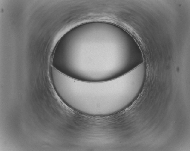 X0000087381520200704271544