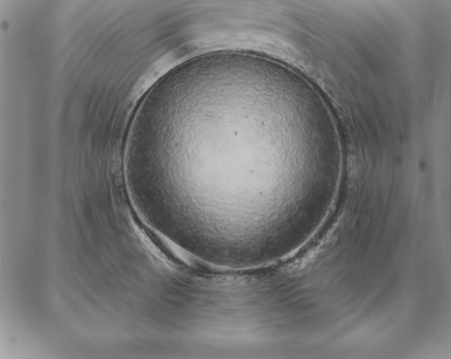 X0000087381521200704271544