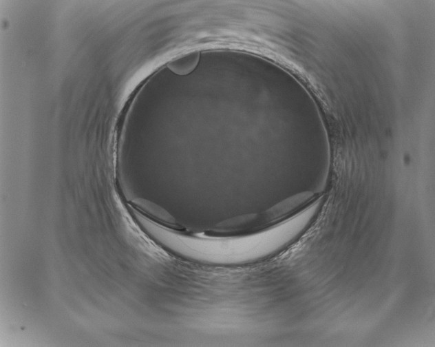 X0000087381522200704271544