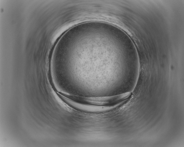 X0000087381523200704271544