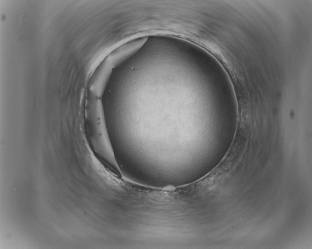 X0000087381524200704271544