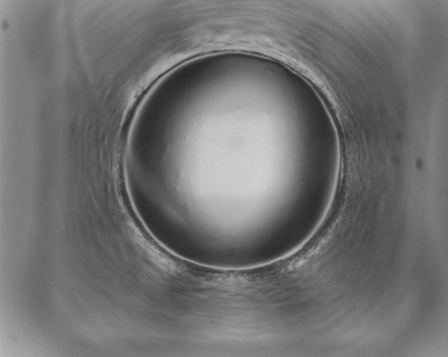 X0000087381525200704271544