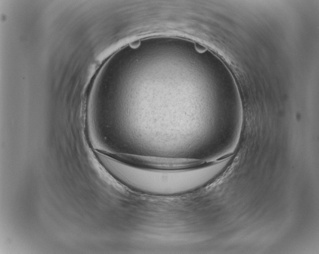 X0000087381526200704271544