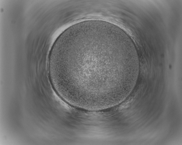 X0000087381527200704271544