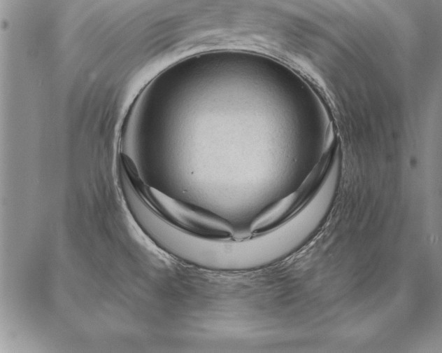 X0000087381528200704271544