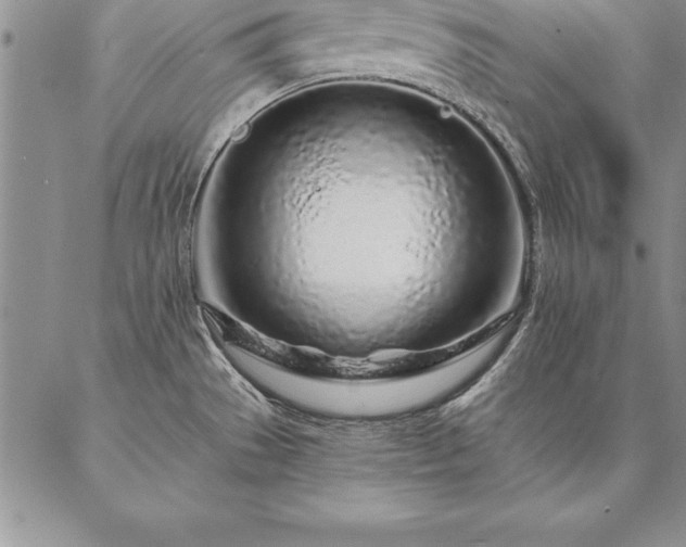 X0000087381529200704271544