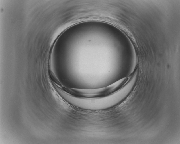 X0000087381530200704271544