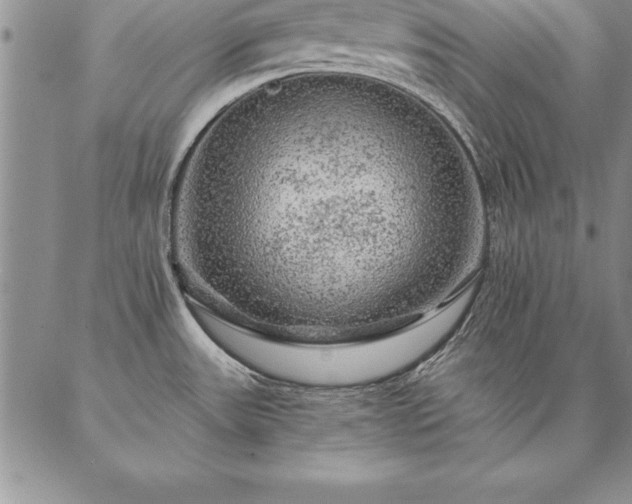 X0000087381531200704271544