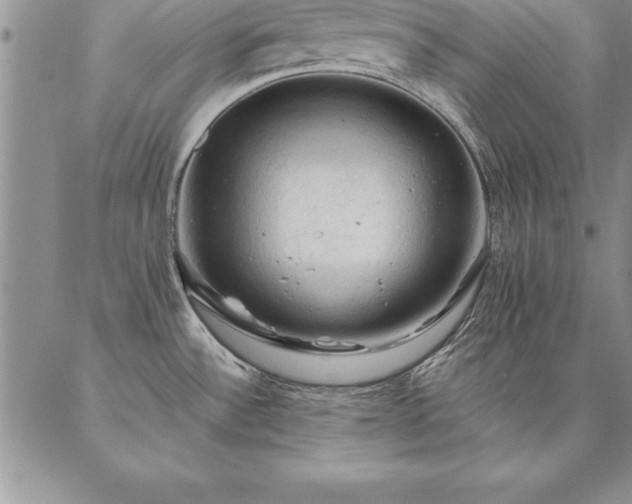 X0000087381532200704271544