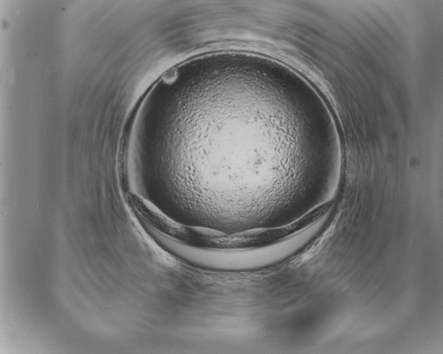 X0000087381533200704271544