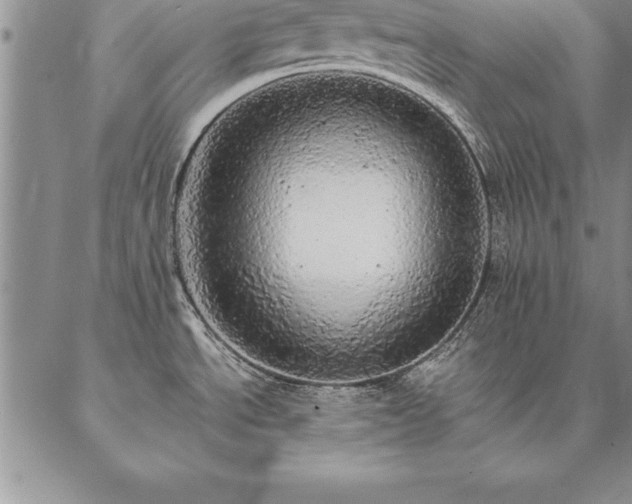 X0000087381534200704271544