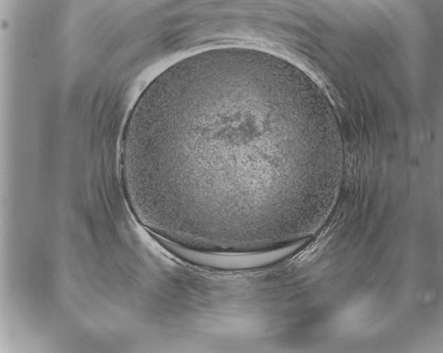 X0000087381535200704271545