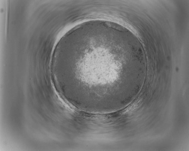 X0000087381536200704271545