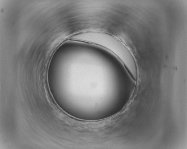 X0000087380001200705041957