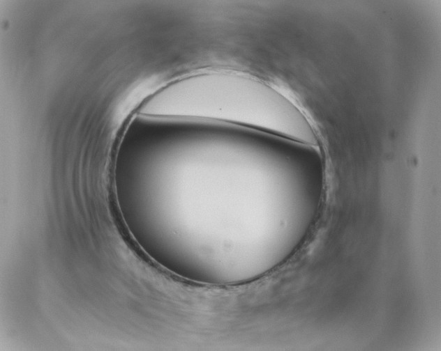 X0000087380007200705041957