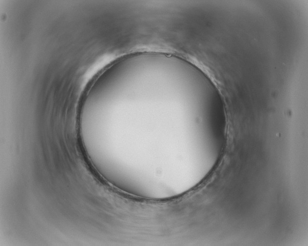 X0000087380008200705041957