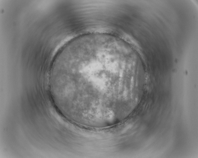 X0000087380012200705041957