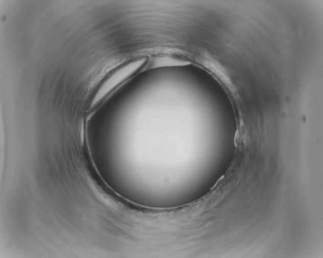 X0000087380013200705041957