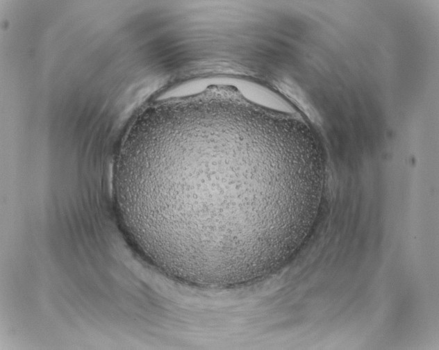 X0000087380014200705041957