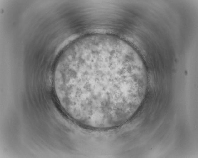 X0000087380016200705041957