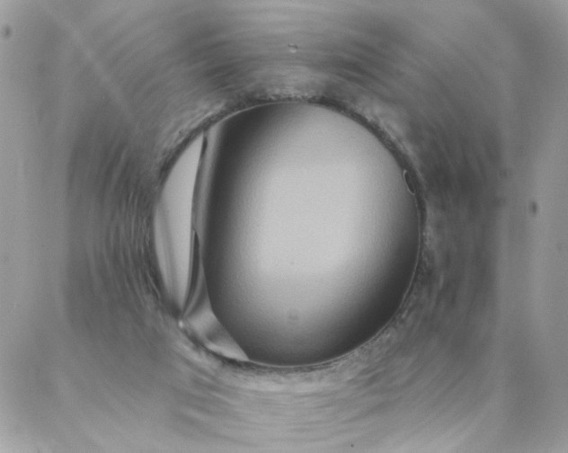 X0000087380017200705041957