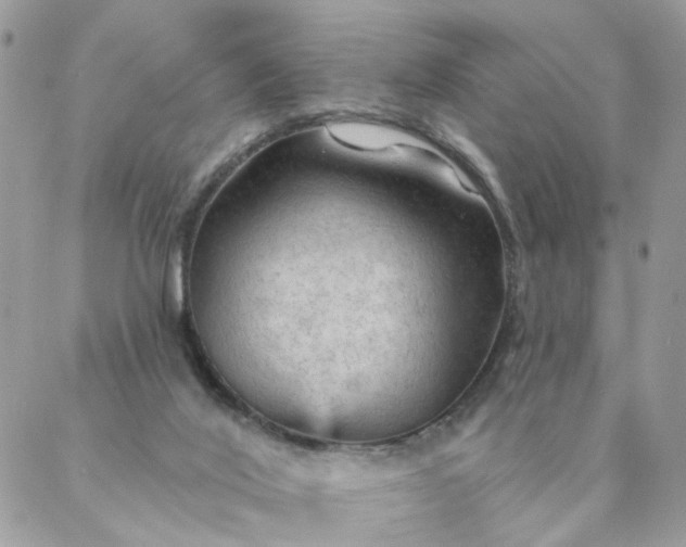 X0000087380020200705041957