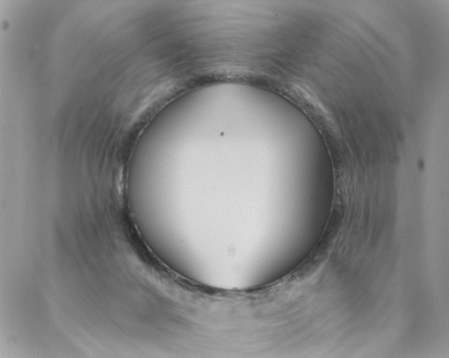 X0000087380024200705041956