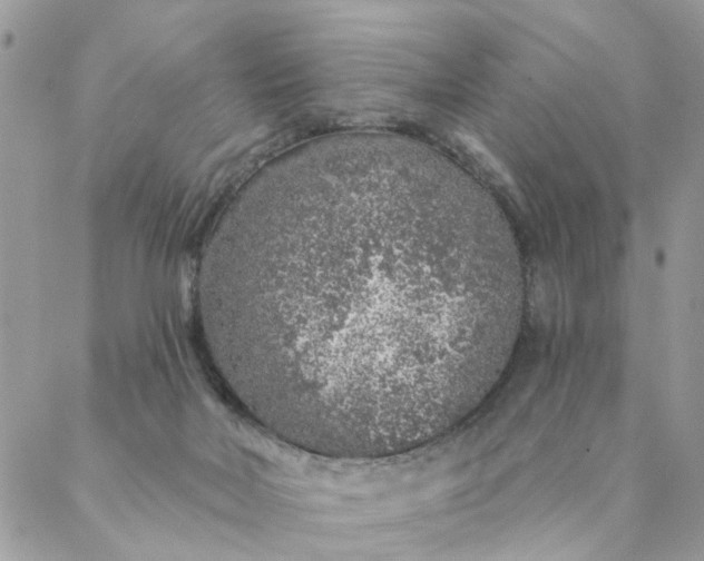 X0000087380026200705041956