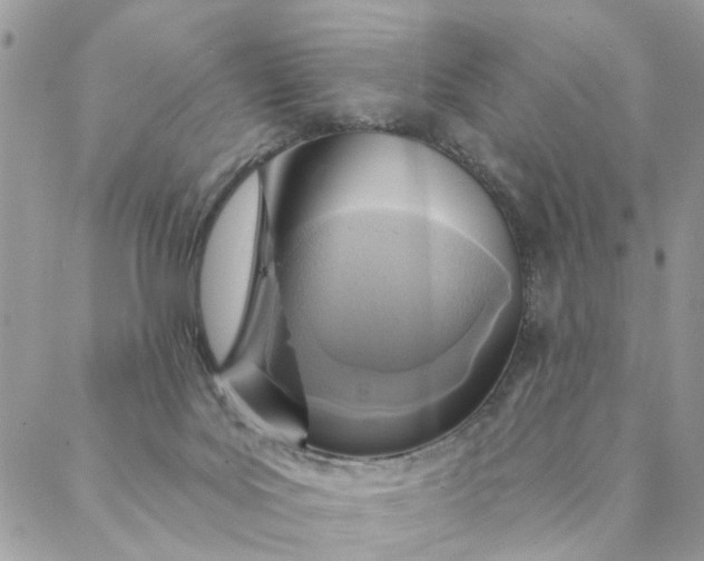 X0000087380027200705041956