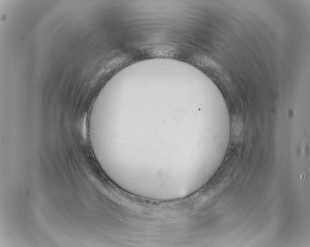 X0000087380028200705041956