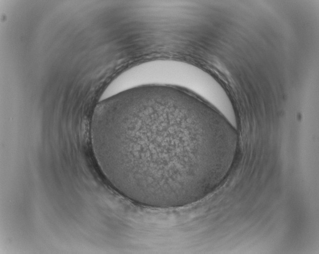 X0000087380029200705041956