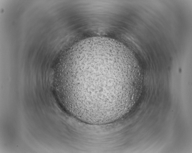 X0000087380030200705041956