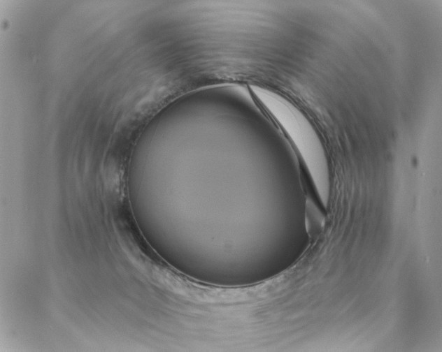 X0000087380031200705041956