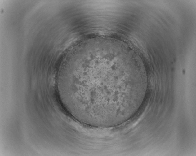 X0000087380032200705041956