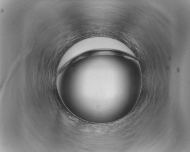 X0000087380033200705041956