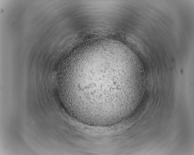 X0000087380034200705041956