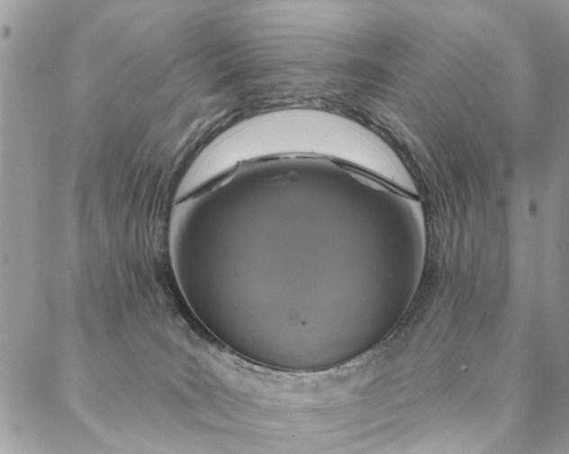 X0000087380035200705041956