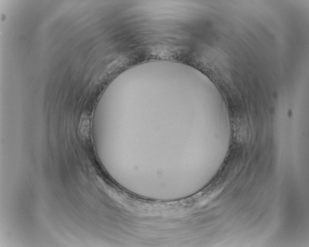 X0000087380036200705041956