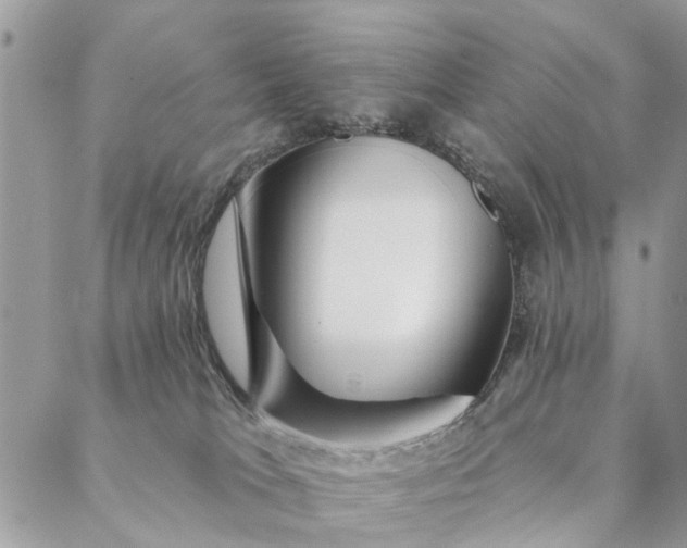 X0000087380037200705041956