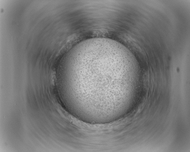 X0000087380038200705041956