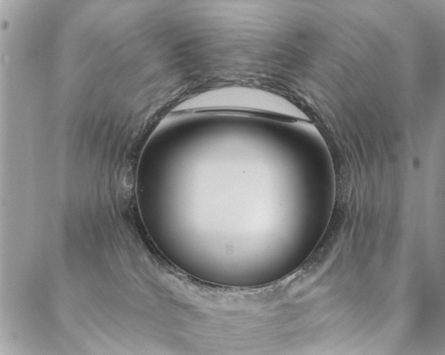 X0000087380040200705041956