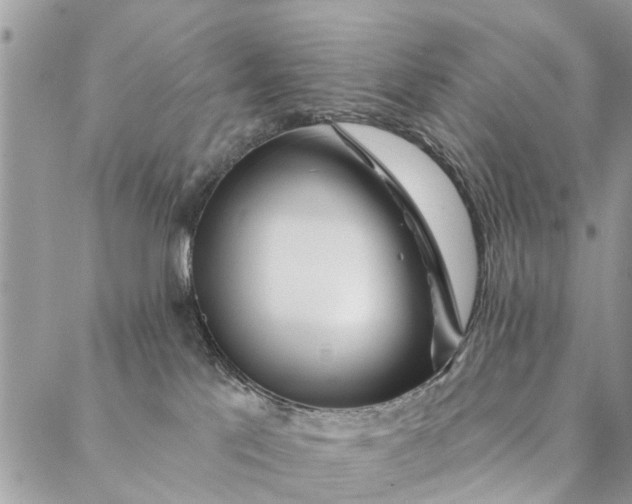 X0000087380041200705041956